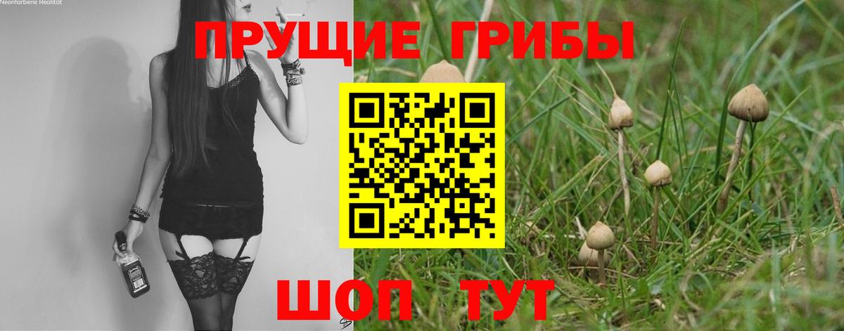 Конаково  Псилоцибиновые грибы мухоморы  Вход с VPN 